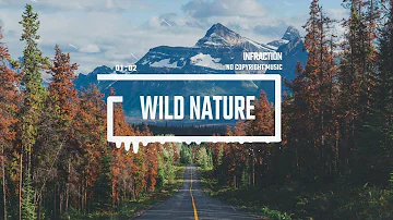 Acoustic Cinematic by Infraction [No Copyright Music] / Wild Nature