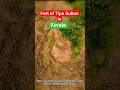 Arikady Fort of Tipu Sultan in Kerala #history #tipusultan #ytshorts