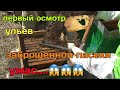 Осмотр ульев заброшенной Пасеки,,,Нашли заброшеную Пасеку(Часть 2)