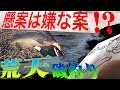 離島の磯釣り 荒天で紆余曲折そして懸案は嫌案!? Surf-fishing