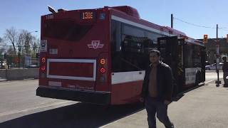 TTC Bus 81