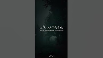 سورة | الفتح || القارئ عبدالرحمن مسعد 🤍🎧