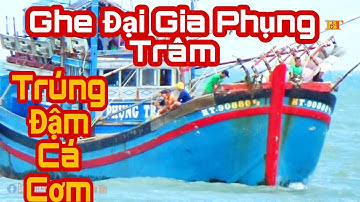 🔴 Cận Cảnh Quay Ghe Pha Súc Phụng Trâm Về Cảng Lagi