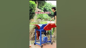 Máy băm cỏ 7TA: Băm nhuyễn cỏ voi, thân ngô, rơm rạ nhanh chóng