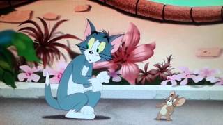 Tom the tiger scares jerry!