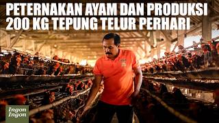 Download Lagu Mantan Guru Sukses Jadi Peternak Ayam, Produksi 200 Kg Tepung Telur per Hari! MP3 Download Lagu Mantan Guru Sukses Jadi Peternak Ayam, Produksi 200 Kg Tepung Telur per Hari! MP3