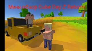 Мини обзор - Cube Day Z Reborn