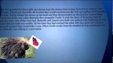 How The Turtle Got Its Shell Native Story