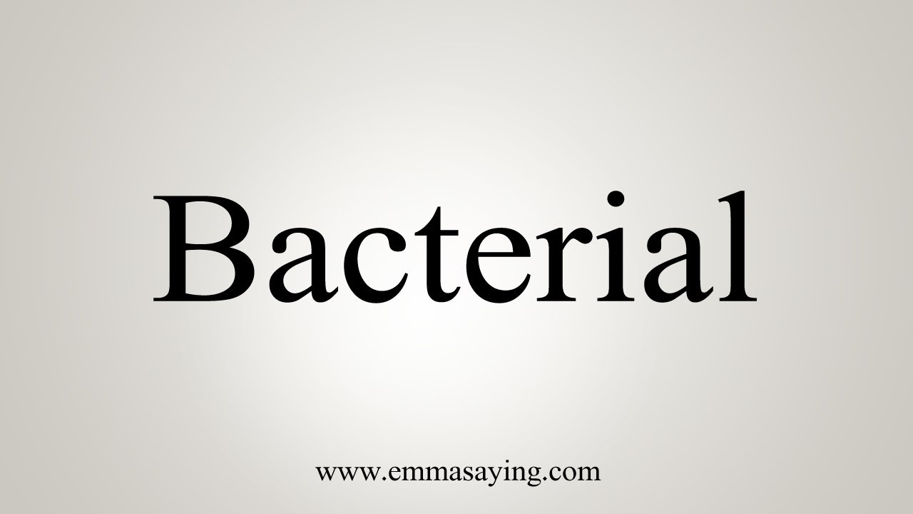 How To Say Bacterial YouTube