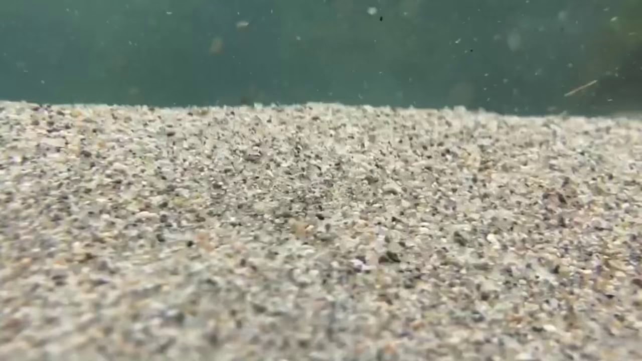 Hd撮影 米子の海岸でiphone沈めてみた 2 水中の砂浜 Youtube