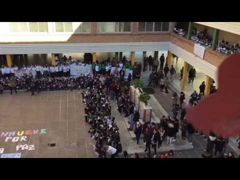 Día de la paz 2017 en el colegio Los Olivos