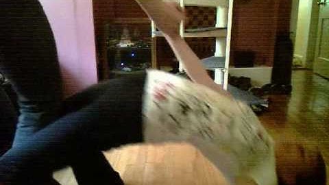 Blame It On The Pop Music Video