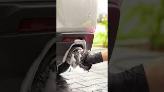 Cleaning Exhaust Tips (Asmr)