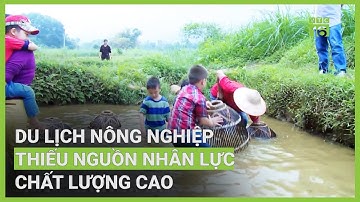 Du lịch nông nghiệp thiếu nguồn nhân lực chất lượng cao | VTC16