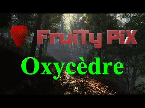 Oxycèdre - Fruitypix