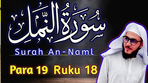 Para 19 || Ruku 18 || Surah An-Naml (سورة النمل) || With Arabic Text