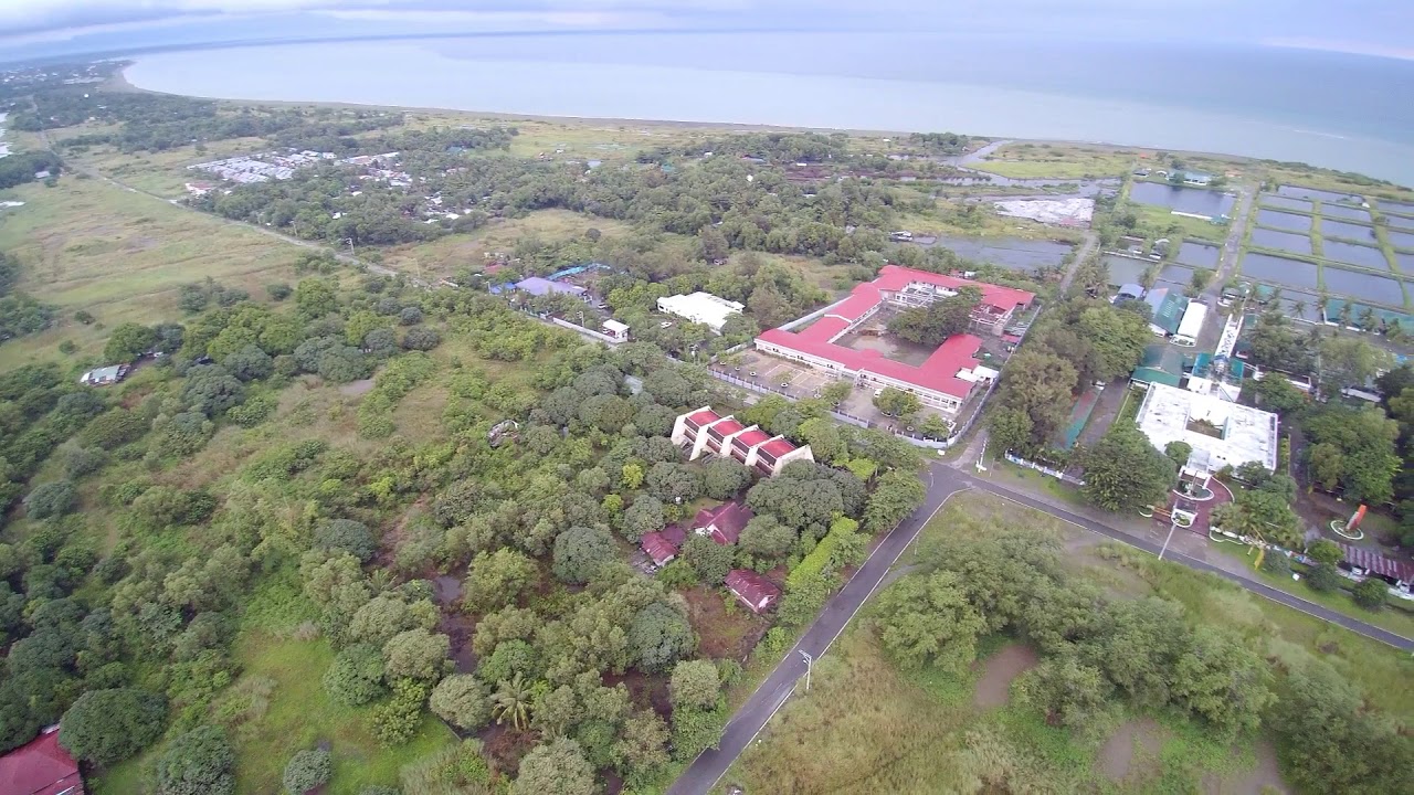 Till my body ache - 1st video edit (drone shot)