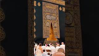 #islam #islamic #islamicvideo #islamicstatus #islamicstatus #islamicshorts #youtubeislife