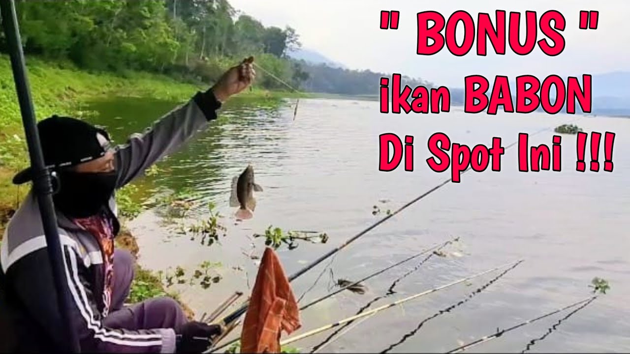 Mancing Selorejo Ngantang Terbaru 2025  Target Terpenuhi Ini Salah Satu IkanPenunggu Waduk Mantap ‼️