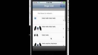 Super Fast iPhone App using Rhodes Mobile screenshot 5