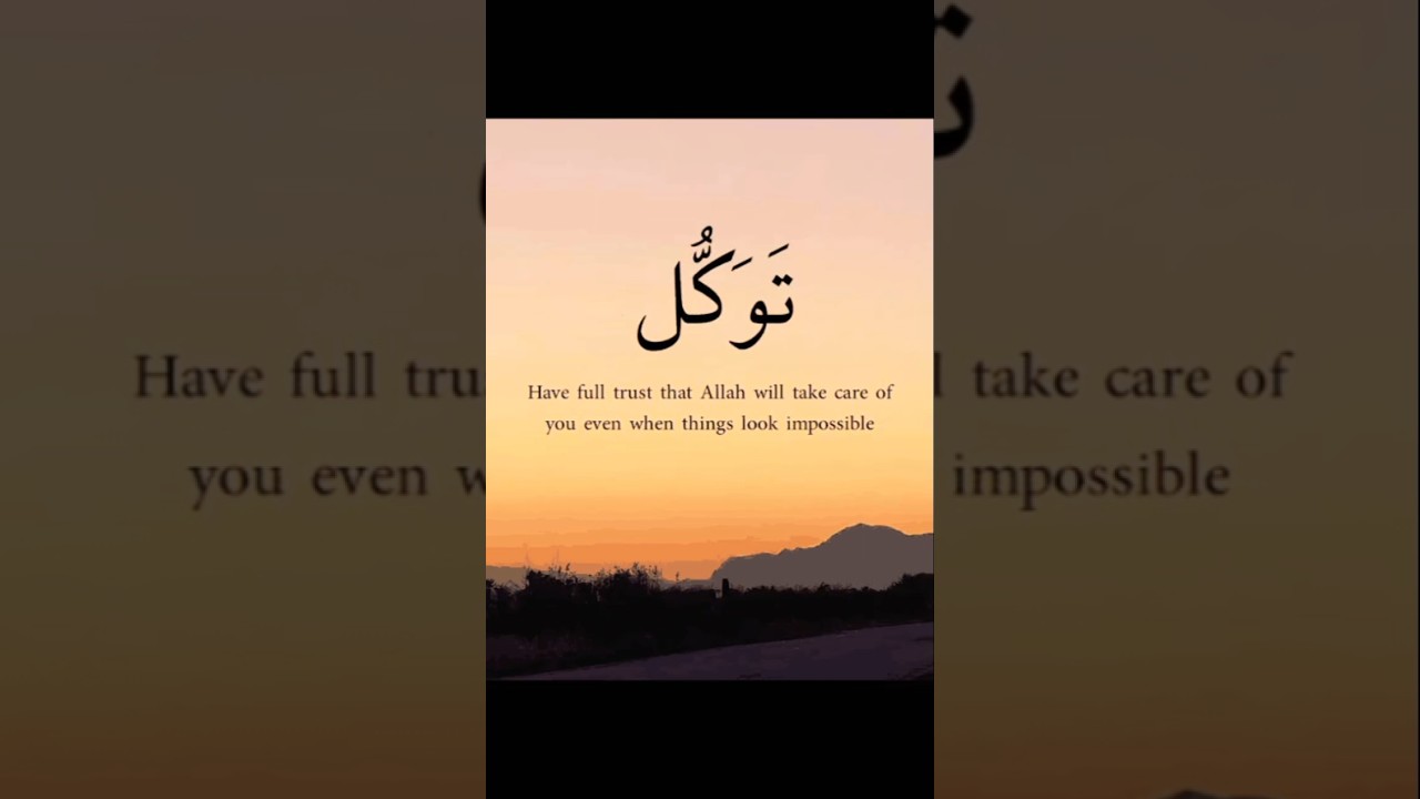 best Quotes video|best Islamic Quotes video|urdu quotes #quote #reels #quote #quotes #shorts #short