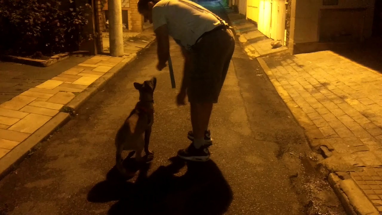 Andando sem guia na Rua (viela) - YouTube