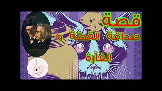 قصة صداقة القطة و الفأرة ( من أفضل قصص الاخوين غريم)