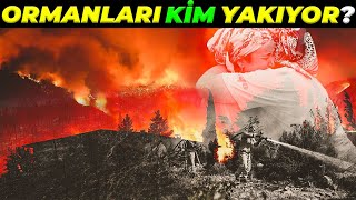Orman Yanginlari Neden Çikiyor ?