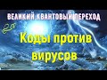 Коды против вирусов/ Великий квантовый переход