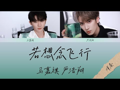 【TNT时代少年团】 “乌托邦乐园" 马嘉祺 严浩翔《若想念飞行》去人聲伴奏