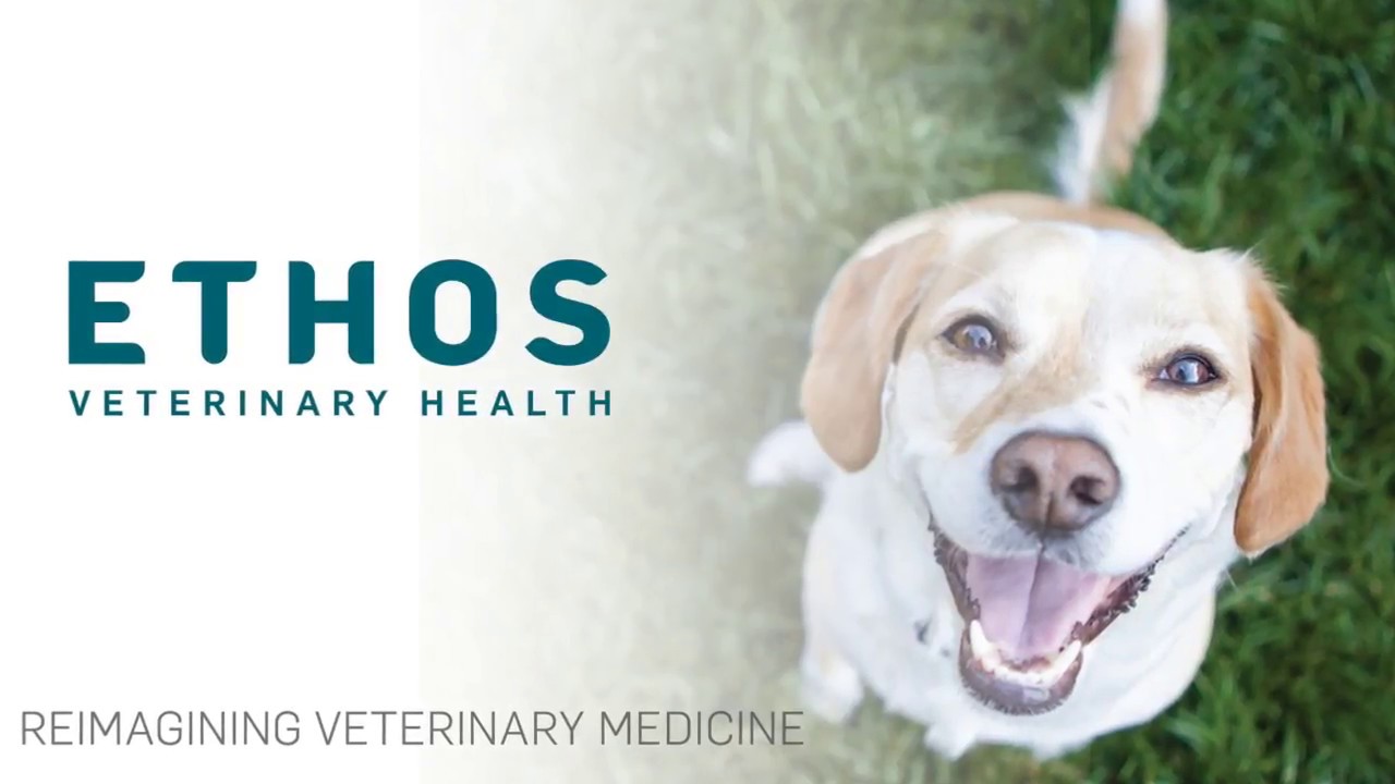 Ethos Veterinary Health About Us YouTube