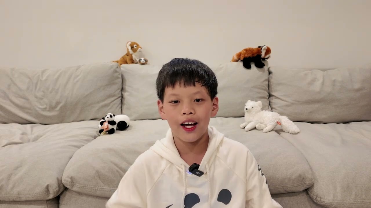 Saving Sumatran Orangutans