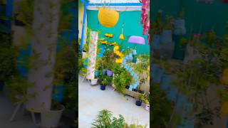 Terrace gardening overview part 79 🟢#nature #diycrafts #youtubeshorts