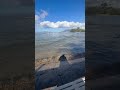 Good morning from Cove Park Maui . Aloha #luckywelivemaui #alohafriday #kihei#hawaii #surfpark