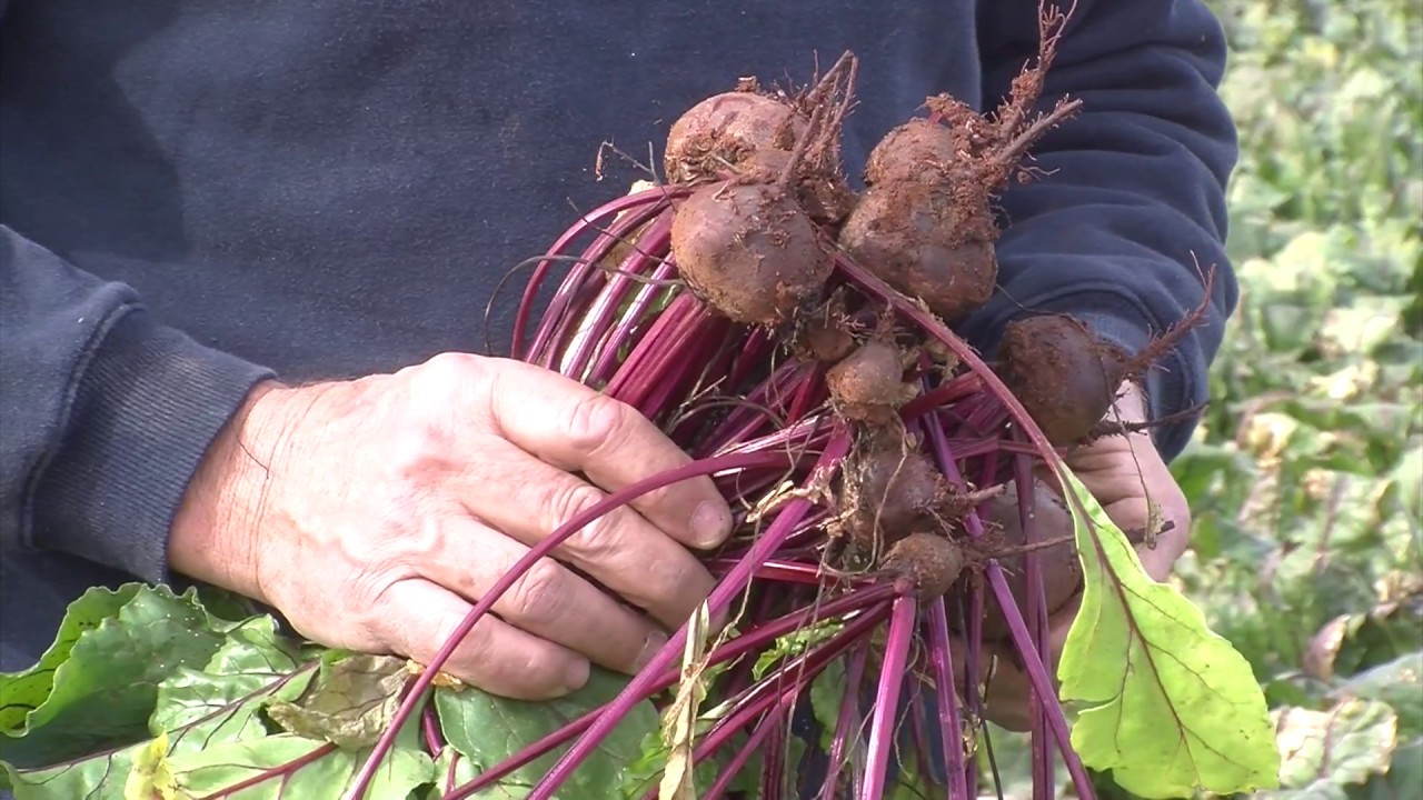 A Fair Share for Value Adding in the Lachlan Valley