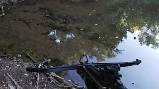 : Daytime Bowfishing with a Mini Crossbow