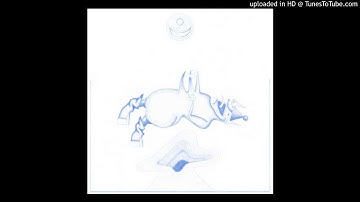 Devendra Banhart - Fig in Leather