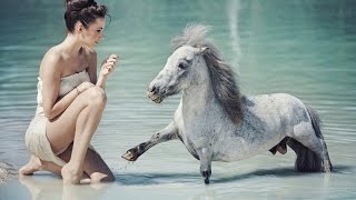 The most beautiful horses of the world Самые красивые лошади мира YouTubeFotoVideo The most beautiful horses of the world Самые красивые лошади мира YouTubeFotoVideo