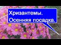 ПОСАДИТЬ. ПОЛИТЬ. УКРЫТЬ...И ЗАБЫТЬ ДО ВЕСНЫ