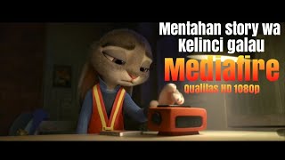 Mentahan story wa kelinci galau versi HD via mediafire