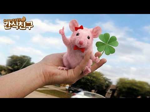 [Snack Buddy] Congratulations! You have received the luck of Ttaebong Seoneng🍀