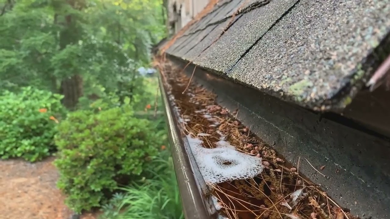 How important is roof cleaning in Cape Coral, FL?