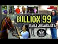 Dolan !!!!!  Lihat Koleksi Kuda Pacu BULLION 99 STABLE Jogjakarta