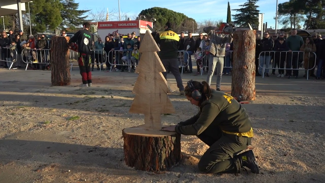 SS26: Exhibició de feines forestals "Sant Bèstia"