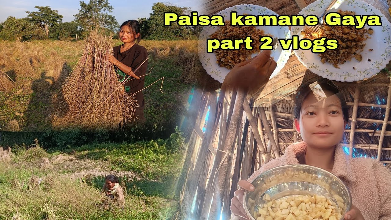 Majduri Karne Gaya  Aaj || Mustard Cutting Kiya - Village Life 