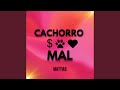 CACHORRO MAL