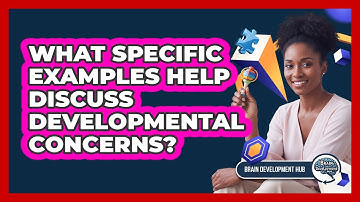 What Specific Examples Help Discuss Developmental Concerns?