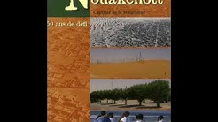 Papis Kimmy - Nouakchott