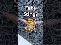 Hornet Mimic Hoverfly - Nature's Best Bug Disguise Revealed!