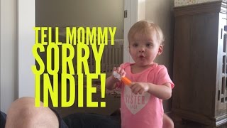 INDIE! SAY SORRY TO MOMMY!